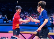 爱游戏下载-瑞典队力克葡萄牙队，许昕点燃赛场的简单介绍