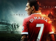 爱游戏娱乐-归化者波尔