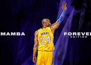 爱游戏下载-温网之光闪耀拉沃尔杯，鲁德轻取对手，统治全场传奇