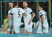 爱游戏在线-奥地利表现出色，成功进军欧预赛的简单介绍