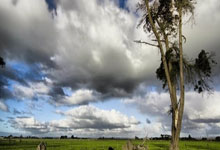 爱游戏APP-巴列卡诺客场艰难2比1击败比利亚雷亚尔的简单介绍