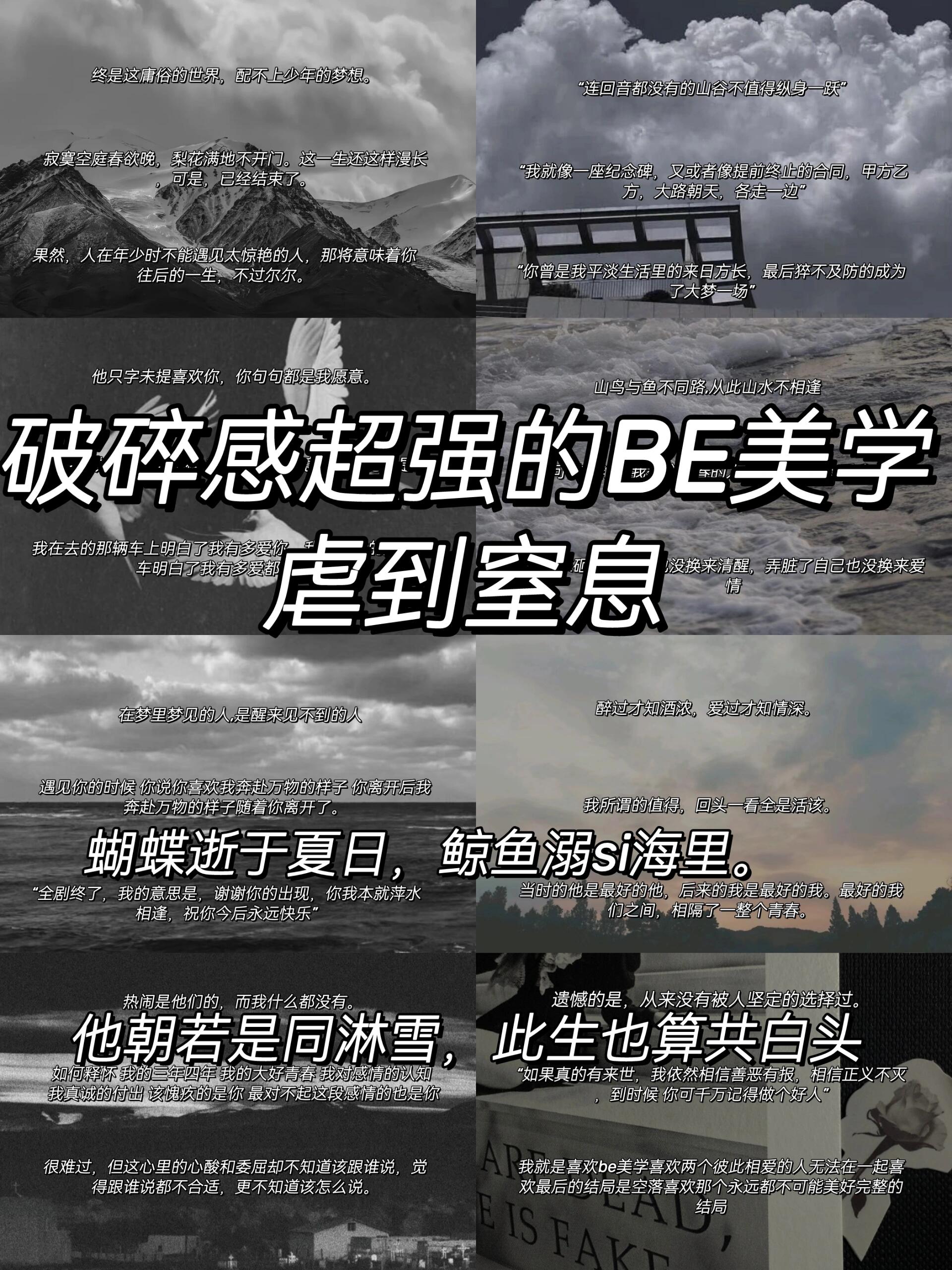 弗赖堡主场惜败，积分稍有颓势的简单介绍